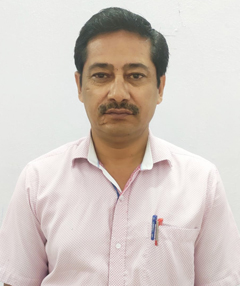 Prof. Dinkar Malik